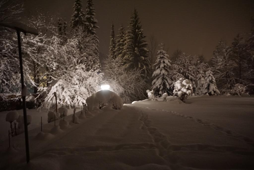 St. Anton Daire Grainau Dış mekan fotoğraf